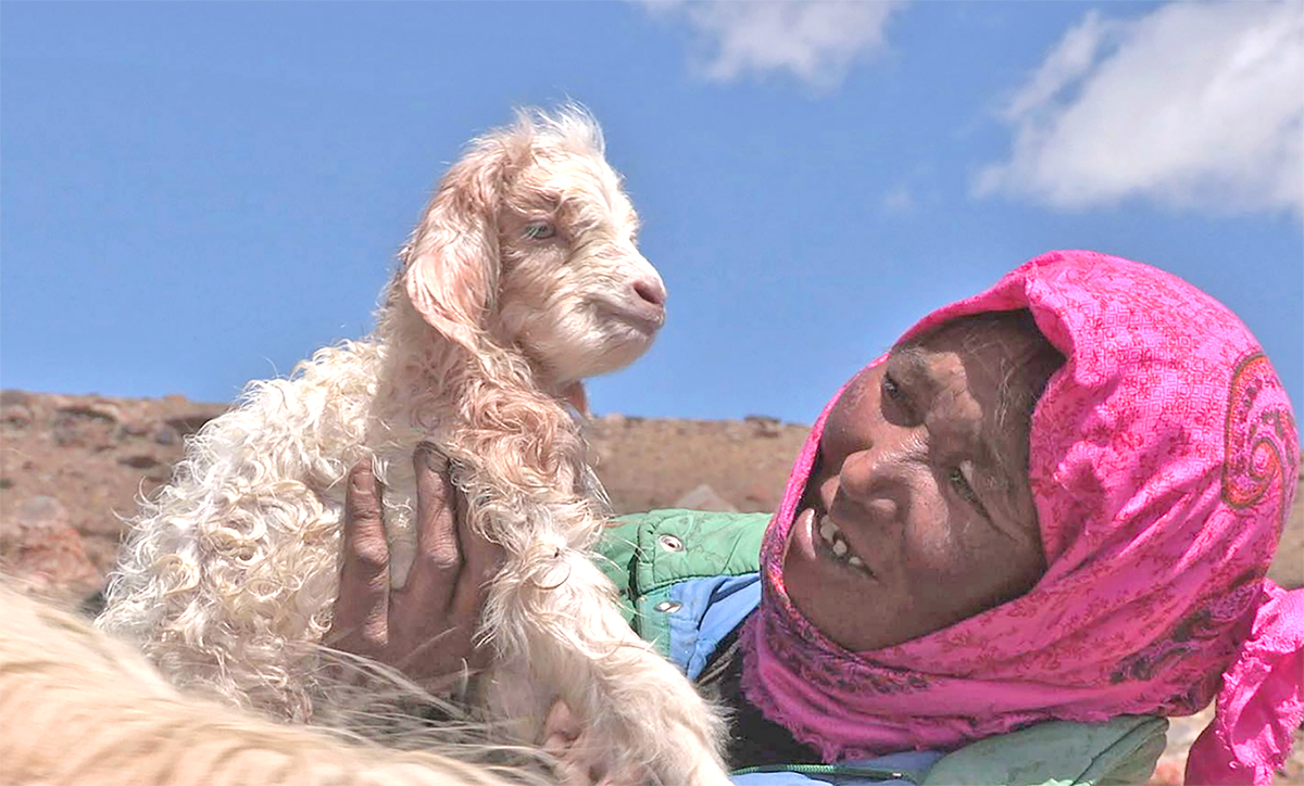 Tsering with goat.jpg